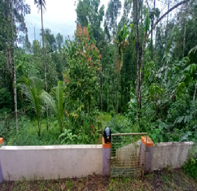 Kunnappallil Chooral, Kerala (Archived)